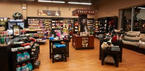 Decoração para Pet Shop – como atrair mais clientes para o seu negócio!